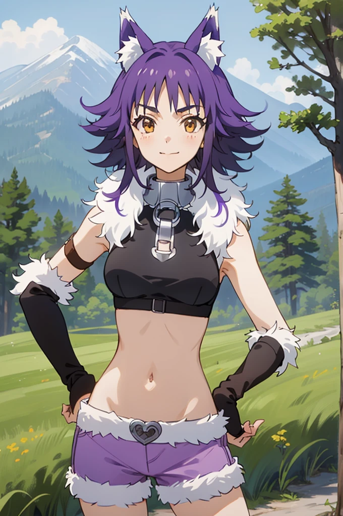 best quality, masterpiece, detailed,
Makoto,
1girl, closed mouth, light smile,
purple hair, medium hair, brown eyes, wolf ears, sidelocks,
crop top, sleeveless, fur trim, purple shorts, metal collar, elbow gloves,
looking at viewer, hand on hip,
outdoors, forest, mountain