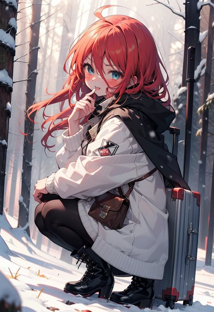 Shana,灼眼のShana,Long Hair, Redhead, Red eyes,Ahoge,,smile,blush,White Breath,
Open your mouth,snow,Ground bonfire, Outdoor, boots, snowing, From the side, wood, suitcase, Cape, Blurred, , forest, White handbag, nature,  Squat, Mouth closed, Cape, winter, Written boundary depth, Black shoes, red Cape break looking at viewer, Upper Body, whole body, break Outdoor, forest, nature, break (masterpiece:1.2), Highest quality, High resolution, unity 8k wallpaper, (shape:0.8), (Beautiful and beautiful eyes:1.6), Highly detailed face, Perfect lighting, Extremely detailed CG, (Perfect hands, Perfect Anatomy),