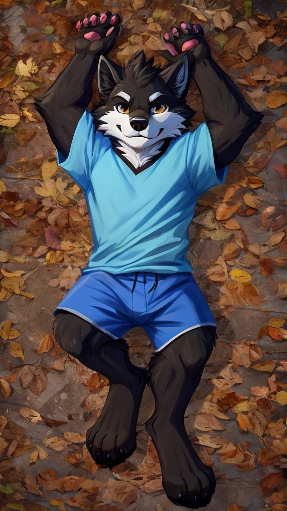 There are only the paws of a black wolf, he is wearing a blue shirt and blue shorts