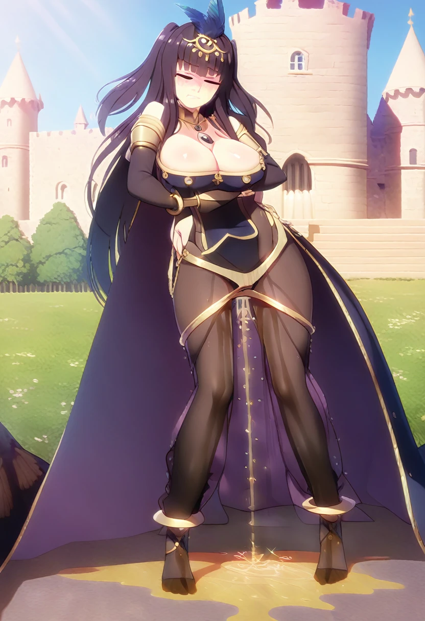 (masterpiece:1.37), best quality, (extremely detailed:1.37) plegianTh, two side up, hair ornament, feather hair ornament, bodystocking, bracelet, gold jewelry, bridal gauntlets, anklet, , (wetting herself:2.0), standing straight, full body day, daytime, glow, facing viewer, perfect composition, full body, medieval, castle, desert