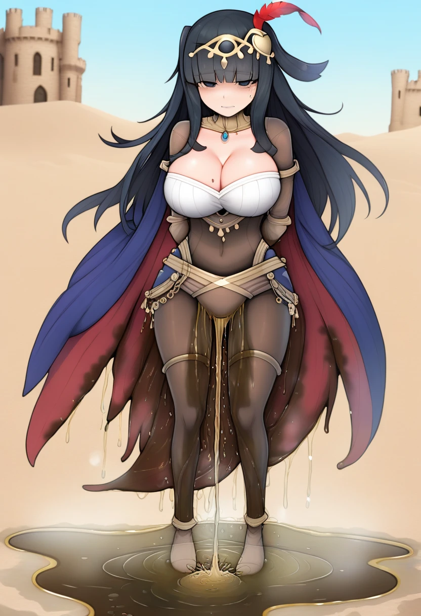 (masterpiece:1.37), best quality, (extremely detailed:1.37) plegianTh, two side up, hair ornament, feather hair ornament, bodystocking, bracelet, gold jewelry, bridal gauntlets, anklet, breasts, (wetting herself:2.0), standing straight, full body day, daytime, glow, facing viewer, perfect composition, full body, medieval, castle, desert