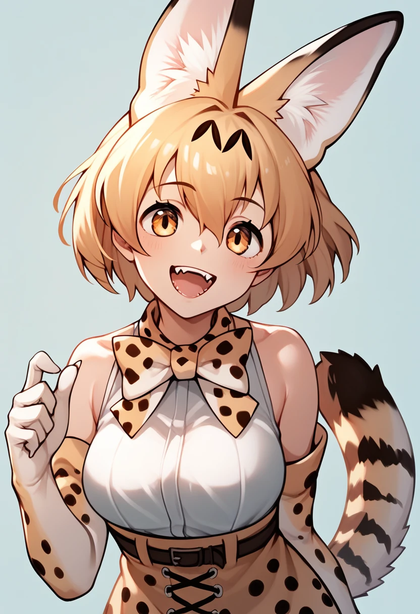 Score_9, Score_8_up, Score_7_up, Score_6_up, Score_5_up, Score_4_up, source_anime, 1girl, servalkemono, serval ears, anime style, happy