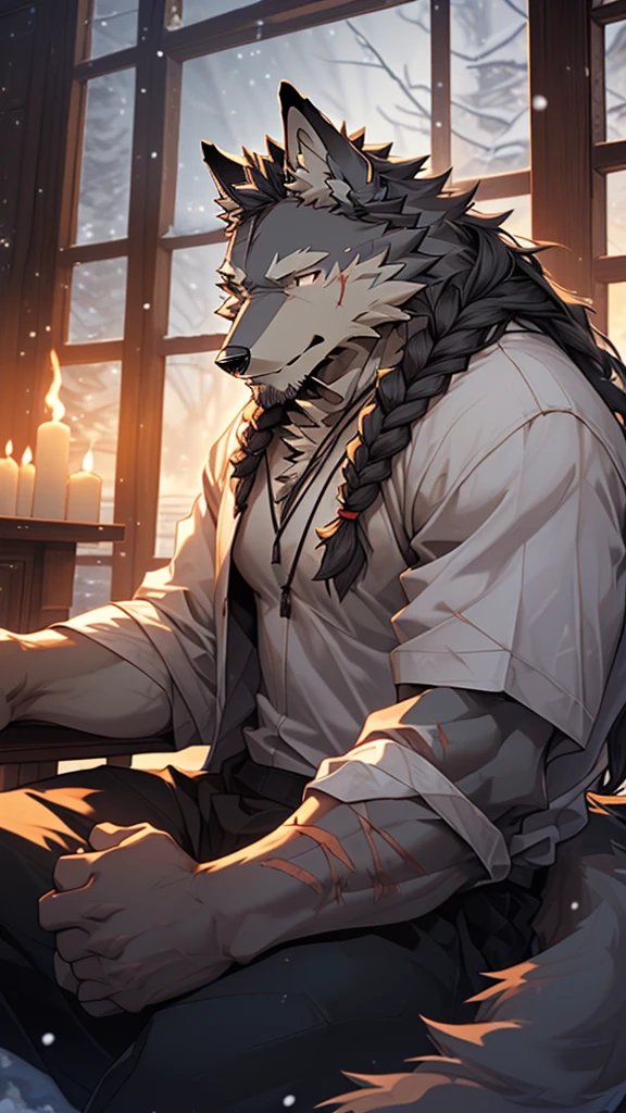 (masterpiece), (photorealistic:1.4), (1boy), (detailed face:1.2), (wolf male:1.5), (old:1.9), (aged), (retired general),(muscular build), (gray fur:1.3), (long white beard), (long white braided hair), (loose shirt), (sitting), (resting), (calm expression), (peaceful eyes), (many scars), (scar on face), (scar on body), (indoors), (cold northern region), (room), (fireplace), (fire), (window), (snow outside), (winter), (night), (dim lighting), (cinematic lighting)