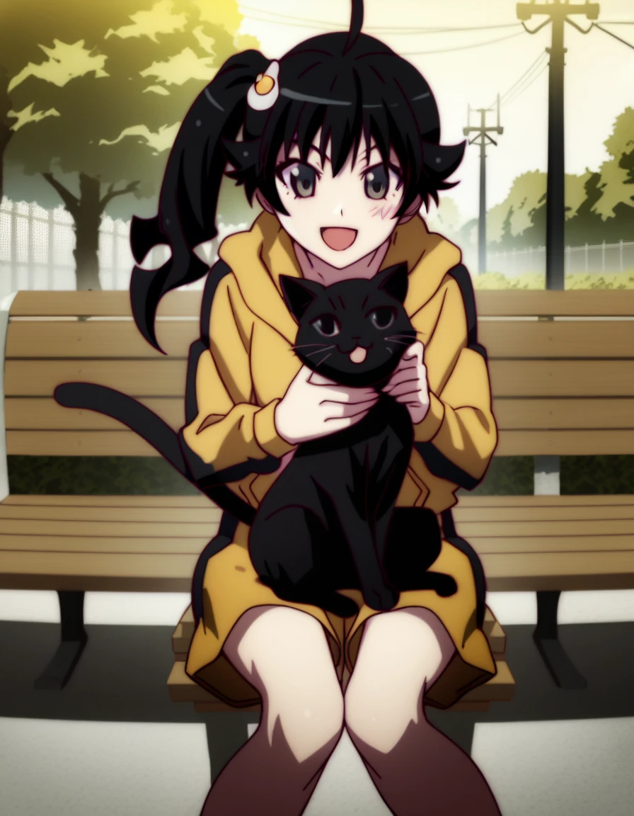 score_9, score_8_up, score_7_up, source_anime, araragi karen, black hair, ahoge, black eyes, hooded track jacket, short hair, egg hair ornament, side ponytail, shorts, park, happy, joy, bench, sitting on bench, 1cat, cat, huge cat, cat on lap, holding cat,