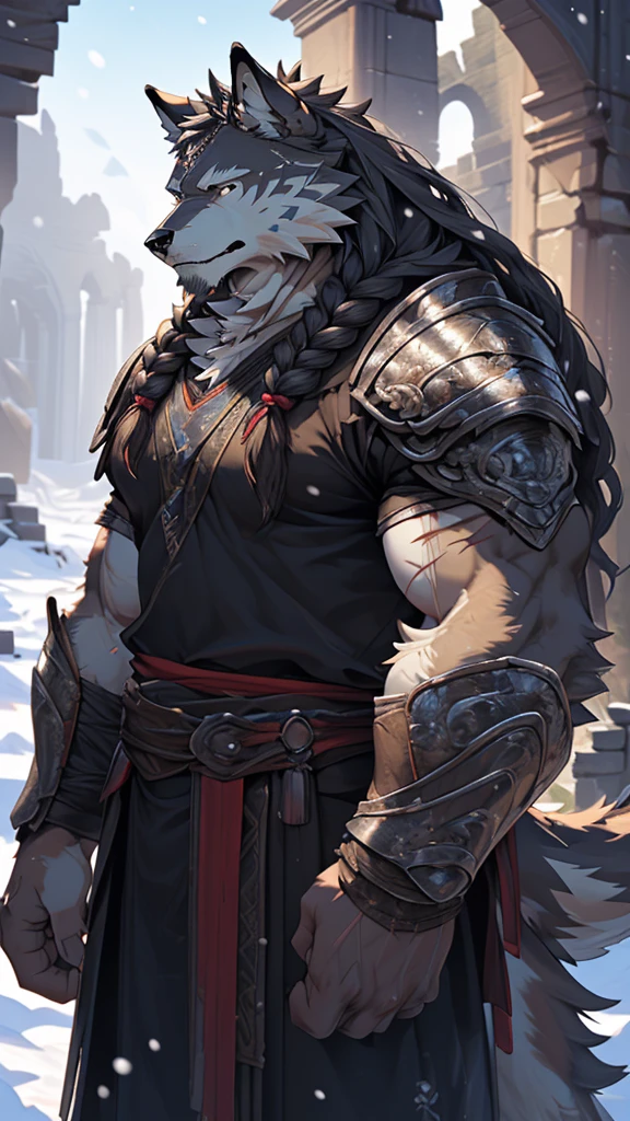 (photorealistic:1.4), 8k, (masterpiece), best quality, highest quality, (highly detailed fur:1.5), (detailed muscles:1.4), (detailed face:1.5), (realistic eyes), original, highres, unparalleled masterpiece, ultra realistic 8k, perfect artwork, grey wolf, male, middle aged, (general:1.2), armor, scars, long hair, braided hair, white braids, cold northern environment, (snowy:1.2), (ruins:1.3)