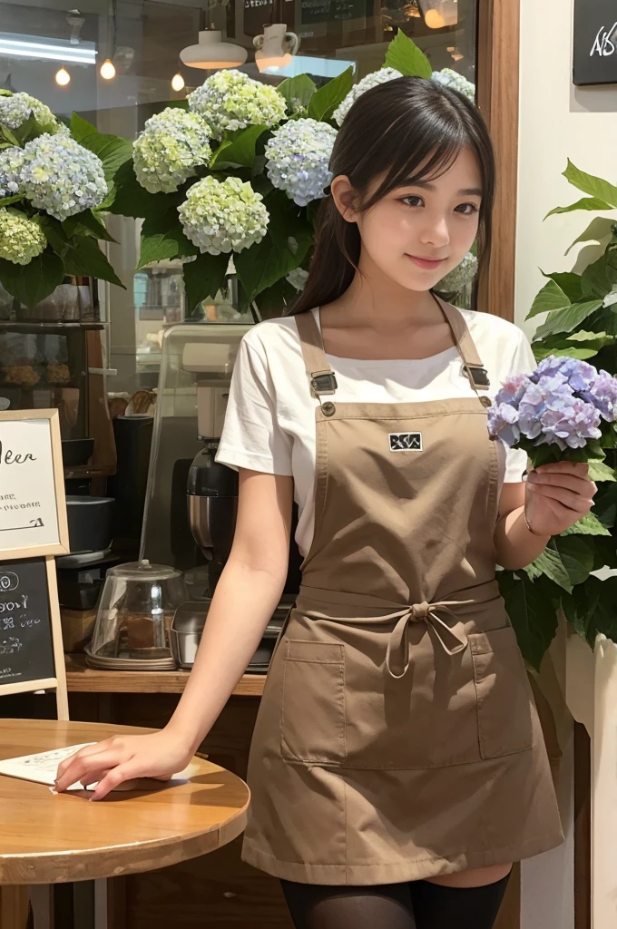 A 20-year-old girl working at a coffee shop decorated with hydrangeas(Wearing a miniskirt and apron)