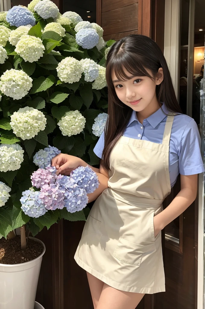 A 20-year-old girl working at a coffee shop decorated with hydrangeas(Wearing a miniskirt and apron)