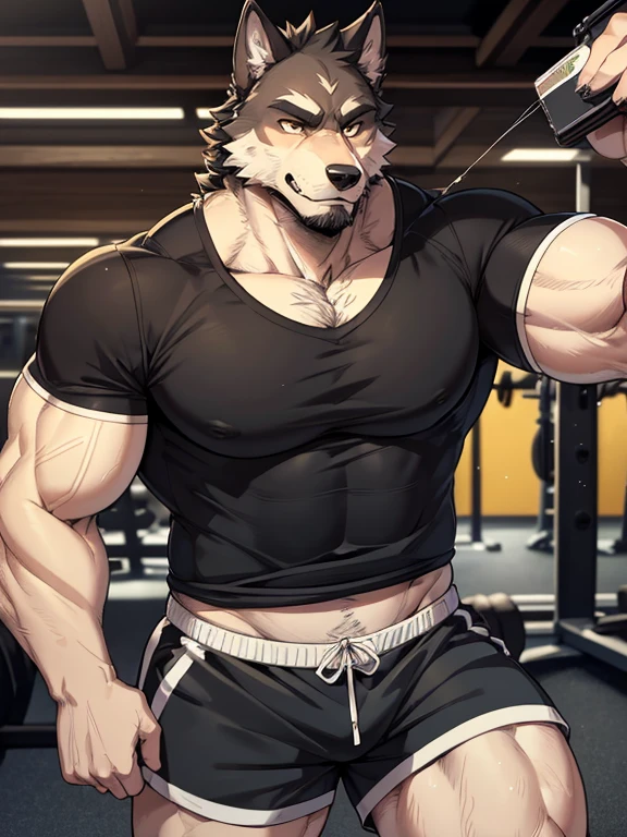 Muscular anthropomorphic wolf, black fur, in his 30s, wering tshirt and shorts, in gym, Perfect detailed features, comic realism, 2D, Hand drawn, manga style, comic style, drawing, big wolf, handsome, sparkling light, rugged, looking at camera, comic style