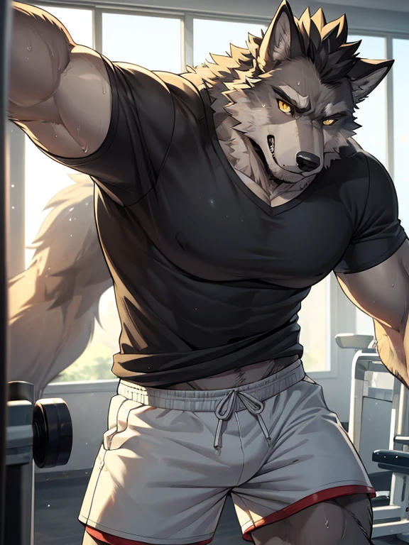 Muscular anthropomorphic wolf, dark grey fur, in his 30s, yellow eyes, wearing tshirt and shorts, in gym, Perfect detailed features, comic realism, 2D, working out, sweating, Hand drawn, manga style, comic style, drawing, big wolf, handsome, sparkling light, rugged, looking at camera, comic style