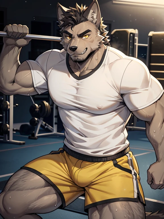 Muscular anthropomorphic wolf, dark grey fur, in his 30s, yellow eyes, wearing tshirt and shorts, in gym, Perfect detailed features, comic realism, 2D, working out, sweating, Hand drawn, manga style, comic style, drawing, big wolf, handsome, sparkling light, rugged, looking at camera, comic style