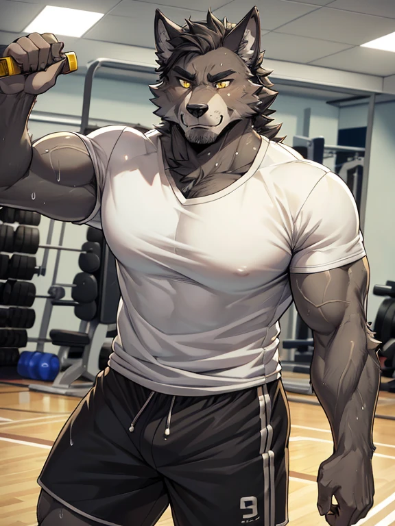 Muscular anthropomorphic wolf, dark grey fur, in his 30s, yellow eyes, wearing tshirt and shorts, in gym, Perfect detailed features, comic realism, 2D, working out, sweating, Hand drawn, manga style, comic style, drawing, big wolf, handsome, sparkling light, rugged, looking at camera, comic style