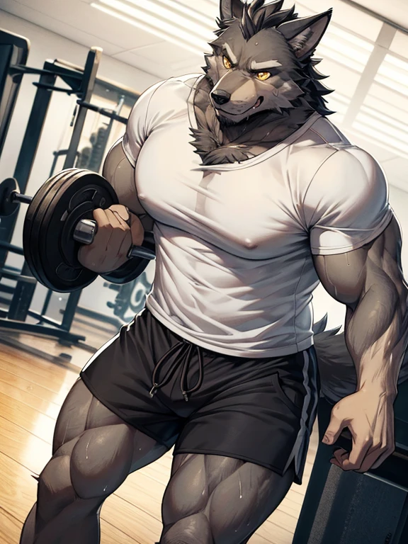 Muscular anthropomorphic wolf, dark grey fur, in his 30s, yellow eyes, wearing tshirt and shorts, in gym, Perfect detailed features, comic realism, 2D, working out, sweating, Hand drawn, manga style, comic style, drawing, big wolf, handsome, sparkling light, rugged, looking at camera, comic style