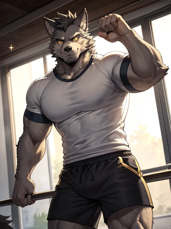 Muscular anthropomorphic wolf, dark grey fur, in his 30s, yellow eyes, wearing tshirt and shorts, in gym, Perfect detailed features, comic realism, 2D, working out, sweating, Hand drawn, manga style, comic style, drawing, big wolf, handsome, sparkling light, rugged, looking at camera, comic style
