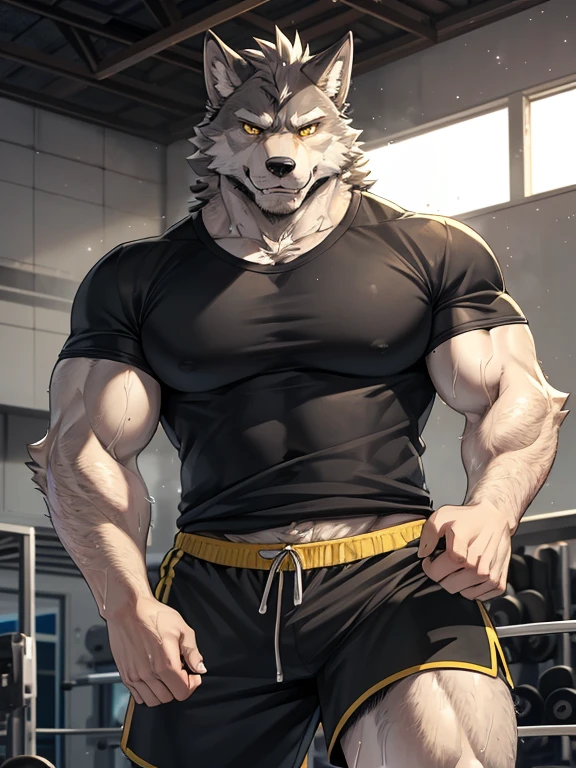 Muscular anthropomorphic wolf, dark grey fur, in his 30s, yellow eyes, wearing tshirt and shorts, in gym, Perfect detailed features, comic realism, 2D, working out, sweating, Hand drawn, manga style, comic style, drawing, big wolf, handsome, sparkling light, rugged, looking at camera, comic style