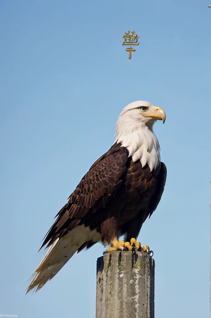 an eagle symbol with the words KARANG TARUNA RW 30