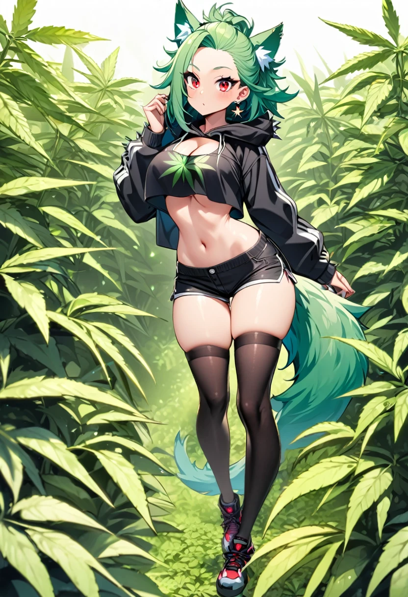   , Croped, , cleavage, slim waist, cropped hoodie underboob, cropped hoodieunderboobhoodie, 1girl, 2 wolf ears, wolf tail, marijuana crop hoodie, crop shorts, marijuana hoodie, spiky hair, spiky fur, green hair, red eyes,marijuana field, tight clothes, perfect eyes, perfect hands, clear resolution, full body, cleavage skin, marijuana plants, open hoodie, marijuana scenery, black thigh high socks, full body, earrings, 1girl, skirt,  cleavage, slim waist, cleavage, slim waist, hair pulled back, 