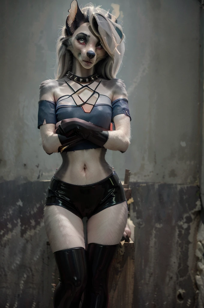 masterpiece, best quality, loona hellhound, loonacroptop, loonashorts, detailed face, detailed eyes, (slit pupils, white eyes), red sclera, happy, [smile, [spiked collar]], pentagram, fingerless gloves, latex suit, digitigrade, standing, street, sunny rays 