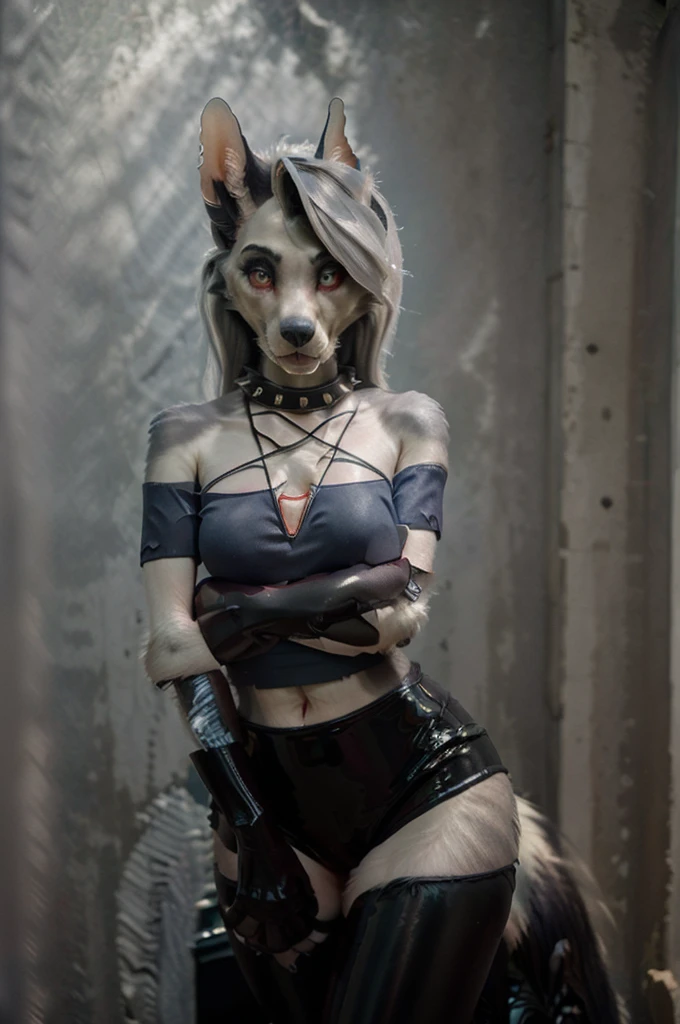 masterpiece, best quality, loona hellhound, loonacroptop, loonashorts, detailed face, detailed eyes, (slit pupils, white eyes), red sclera, happy, [smile, [spiked collar]], pentagram, fingerless gloves, latex suit, digitigrade, standing, street, sunny rays 