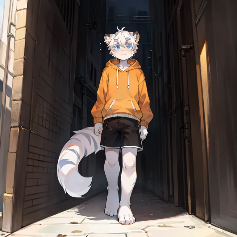teenager, Short white hair, ear, Lower Body, Urban areas, hairy, White hair everywhere, White hair everywhere, White Tiger, Tiger Tail, masterpiece, High quality portrait, Humanoid, youth style, posture, panoramic, White Tiger型, Orange Hoodie, Black shorts, super Handsome face, Handsome, Tiger Youth, blue eyes, White Tiger, white ear, barefoot