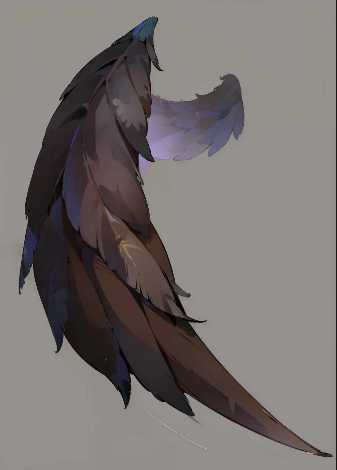 Feather wing material hair texture feather detail HD