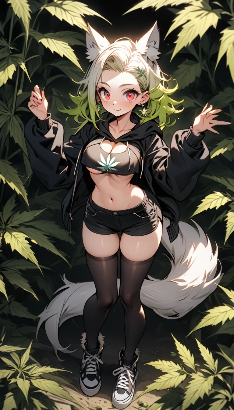   , Croped, , cleavage, slim waist, cropped hoodie underboob, cropped hoodieunderboobhoodie, 1girl, 2 wolf ears, wolf tail, marijuana crop hoodie, crop shorts, marijuana hoodie, spiky hair, spiky fur, green hair, red eyes,marijuana field, tight clothes, perfect eyes, perfect hands, clear resolution, full body, cleavage skin, marijuana plants, open hoodie, marijuana scenery, black thigh high socks, full body, earrings, 1girl, skirt,  cleavage, slim waist, cleavage, slim waist, hair pulled back, 