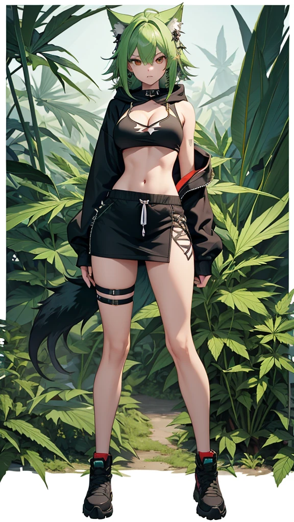 , Croped, , cleavage, slim waist, cropped hoodie underboob, cropped hoodieunderboobhoodie, 1girl, 2 wolf ears, wolf tail, marijuana crop hoodie, crop shorts, marijuana hoodie, spiky hair, spiky fur, green hair, red eyes,marijuana field, tight clothes, perfect eyes, perfect hands, clear resolution, full body, cleavage skin, marijuana plants, open hoodie, marijuana scenery, black thigh high socks, full body, earrings, 1girl, skirt, cleavage, slim waist, cleavage, slim waist, hair pulled back,