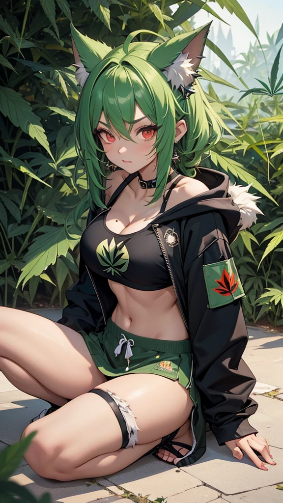   , Croped, , cleavage, slim waist, cropped hoodie underboob, cropped hoodieunderboobhoodie, 1girl, 2 wolf ears, wolf tail, marijuana crop hoodie, crop shorts, marijuana hoodie, spiky hair, spiky fur, green hair, red eyes,marijuana field, tight clothes, perfect eyes, perfect hands, clear resolution, full body, cleavage skin, marijuana plants, open hoodie, marijuana scenery, black thigh high socks, full body, earrings, 1girl, skirt,  cleavage, slim waist, cleavage, slim waist, hair pulled back, 