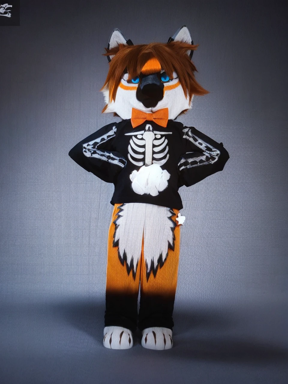 An orange wolf with blue eyes, wearing a black shirt with bone patterns. Has a red bow on his neck. His hair is brown.