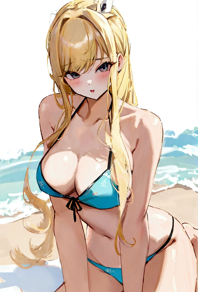 ager、Blonde、long hair、bikini、Big Breasts