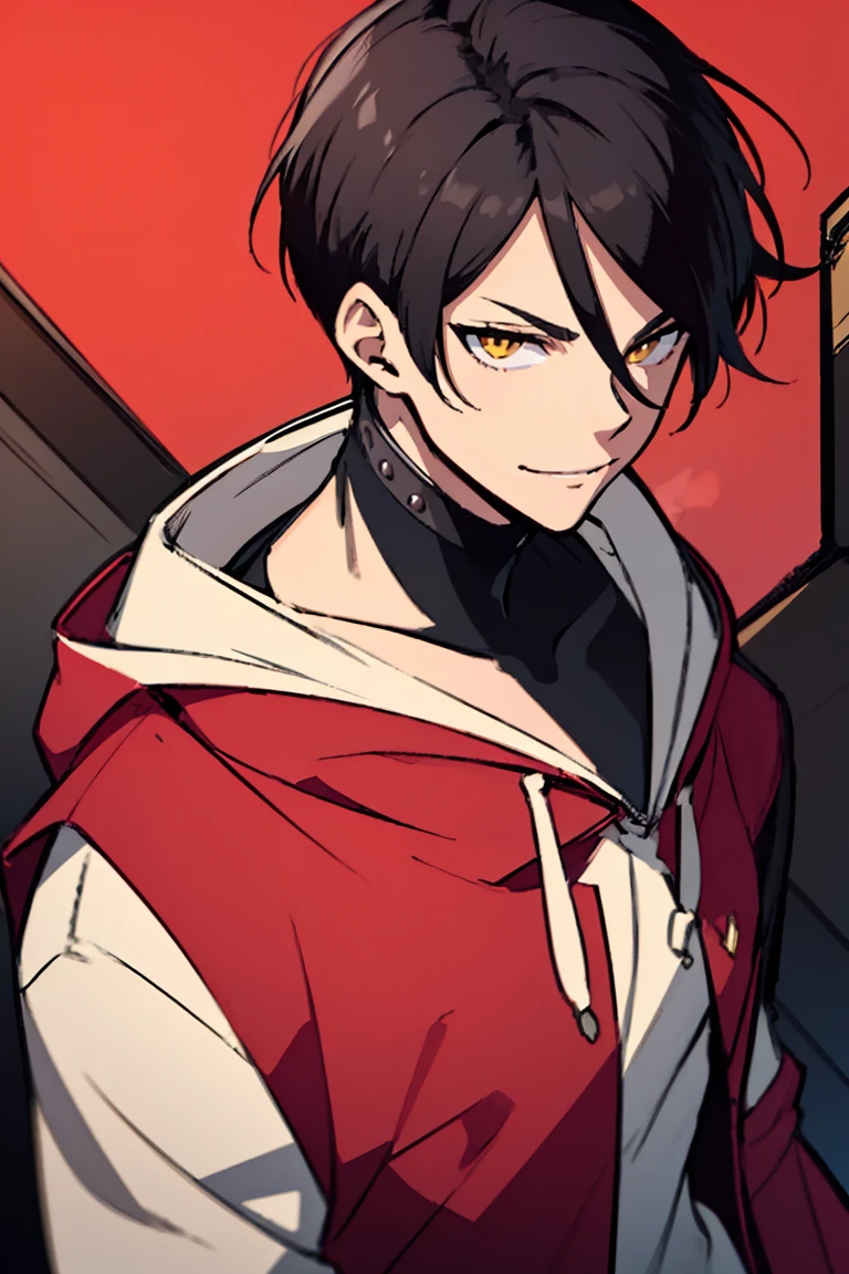 hui xiyi, rekkyou sensen, rekkyo sensen, black hair, yellow eyes, boy, male, hoodies, (red hoodies:1.25)