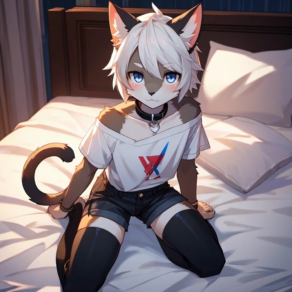 furry,kemono,anthro,
cat,white giant oversized fluffy cat ears,cat tail, white fur, sharp white eyes, white messy hair, slim, twink, femboy, handsome,
black cat collar, black cropped off the shoulder shirt, black denim shorts, black thigh high socks,
alone, best quality, 4K, UHD, masterpiece, kneeling on bed at night, looking up at viewer, submissive,
