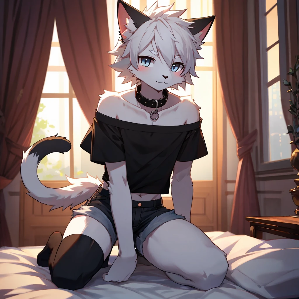 furry,kemono,anthro,
cat,white giant oversized fluffy cat ears,cat tail, white fur, sharp white eyes, white messy hair, slim, twink, femboy, handsome,
black cat collar, black cropped off the shoulder shirt, black denim shorts, black thigh high socks,
alone, best quality, 4K, UHD, masterpiece, kneeling on bed at night, looking up at viewer, submissive,