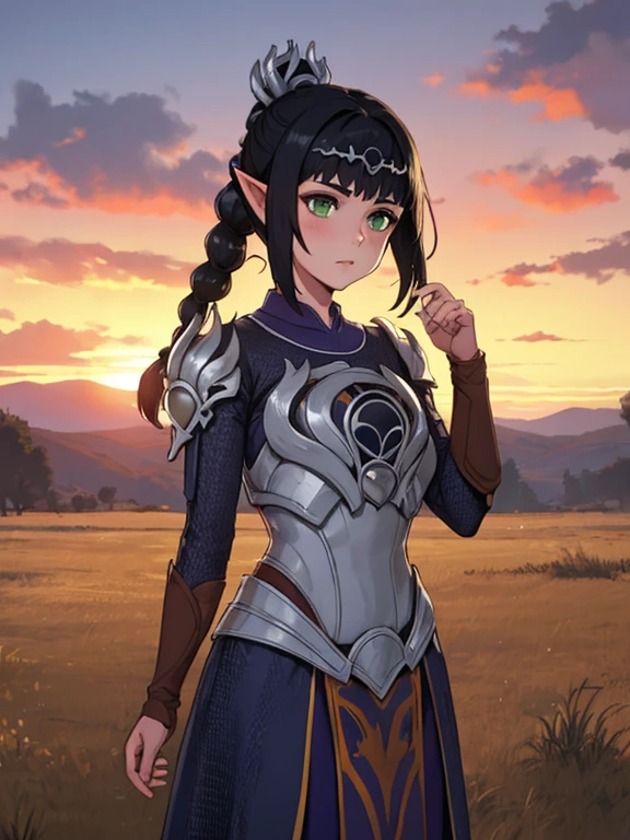 masterpiece, best quality, highres BREAK
dsshadowheart, black hair, long hair, ponytail, bangs, braid, hair ornament, pointy ears, green eyes, circlet, armor, breastplate, pauldrons, 1girl, solo BREAK
standing, battlefield, sunset, lens flare, detailed background
