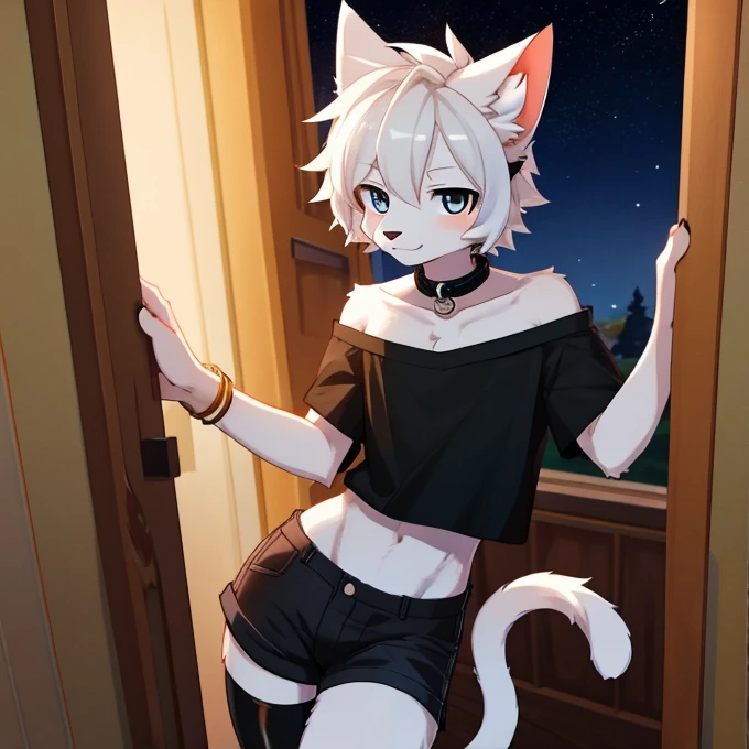furry,kemono,anthro,
cat,white giant oversized fluffy cat ears,cat tail, white fur, sharp white eyes, white messy hair, slim, twink, femboy, handsome,
black cat collar, black cropped off the shoulder shirt, black denim shorts, black thigh high socks,
alone, best quality, 4K, UHD, masterpiece, leaning in the doorway of a cozy house at night in a sexy way,
