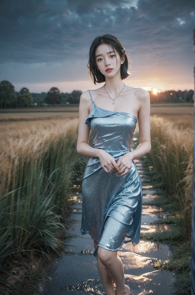 (((best quality))),(((ultra detailed))),(((masterpiece))),illustration,((1 beautiful girl,solo)),((slim,thin,flat chest)),(shoulder length straight bob hair:1.2),flowing hair,fair skin,(shiny skin:1.3),sparkling eyes,laughing,(blue dress:1.3),delicate necklace,grass,dewdropletts,trees,bird chirping,serenity,gratitude,awe,wonders of nature,peace,contentment,magnificent world,summer,(pitch-dark dawn:1.5),(night scene:1.3),upper body,from front,after rain,(wet:1.3),standing,on the path,confident gaze,elegant posture,mysterious atmosphere,solemn mood,dawn approaching,detailed decorations,(sunrise:1.3),rainbow,(Rural Landscape:1.2)