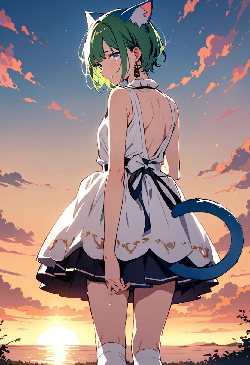 ((Back view:1.1)),masterpiece, Highest quality, Illustration of the novel, High resolution, 18+ Adult content, Sensual, Intimate, Emotional, Passionate, romantic, sweet, Adorable, Innocent, Pure, Charmな, Charmな, Charm, mysterious, Charmな, Charmな, Immersive, Charmな, dream-like, Surreal, Imaginative, Whimsical, Artistic, Avant-garde, timeless, elegant, Sophisticated, chic, Sophisticated, personality, original, Charmな,One Girl,Deltamon_beta, alone, blue eyes, Knee socks, Animal ears, Expose your shoulders, Blue Tail, Earrings,Removable sleeves, Green Hair, Sleeveless, Cat ear, bag, white Knee socks, Cat'tail,pink backpack,Pink school bag,Lavender lace: Lavender Peter Pan collar lace dress, Paired with ivory tights and Mary Jane shoes.,Cherry-blossom viewing, azalea, satsuki, azalea blizzard,
rest ((Avoidance method ((子Cat)), Crying face)),((Sunrise Time/Sunrise time/sunrise time:1.3))