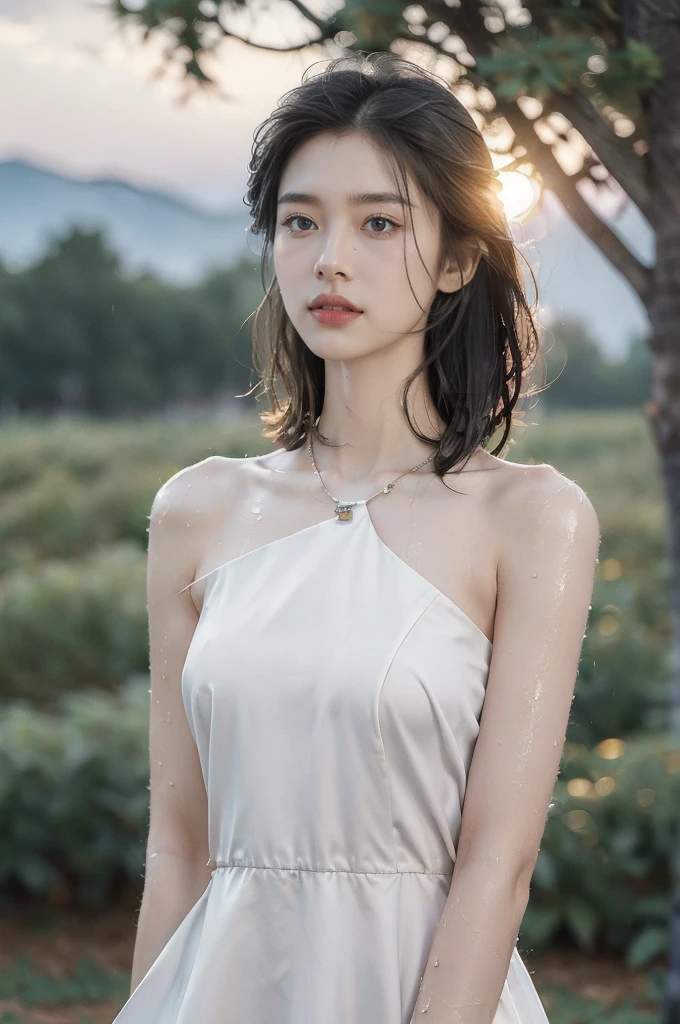 (((best quality))),(((ultra detailed))),(((masterpiece))),illustration,((1 beautiful girl,solo)),((slim,thin,flat chest)),(shoulder length straight bob hair:1.2),flowing hair,fair skin,(shiny skin:1.3),detailed eyes,laughing,(shirt-dress:1.3),delicate necklace,grass,dewdropletts,trees,bird chirping,serenity,gratitude,awe,wonders of nature,peace,contentment,magnificent world,summer,(pitch-dark dawn:1.5),(night scene:1.3),((upper body,from front)),after rain,(wet:1.3),standing,on the path,At the mountaintop,confident gaze,elegant posture,mysterious atmosphere,solemn mood,dawn approaching,detailed decorations,(sunrise:1.3),(cloudy sky:1.2),rainbow,(Rural Landscape:1.2),horizon,slender legs