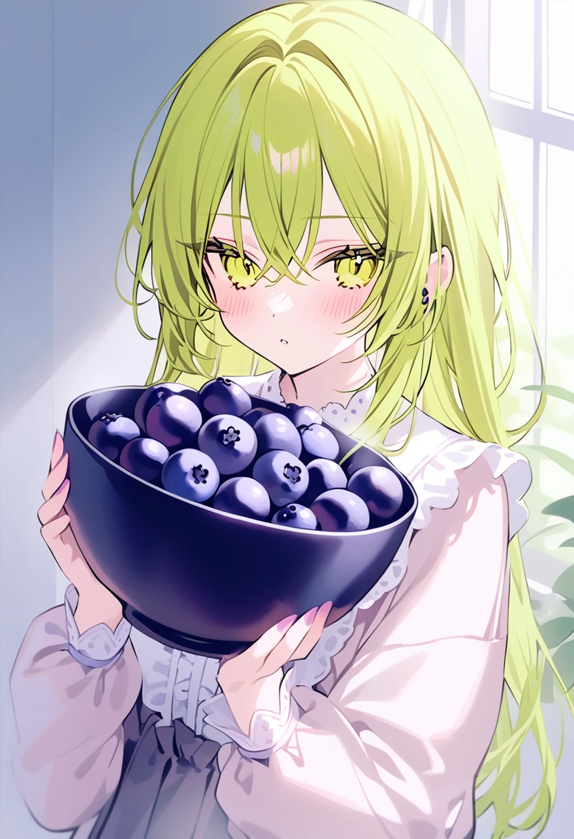 rurudo, 1girl,  solo,  Blueberry girl, Hold blueberry bowl