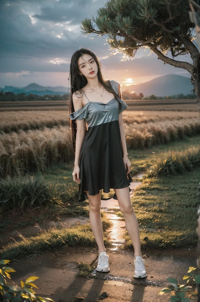 (((best quality))),(((ultra detailed))),(((masterpiece))),illustration,((1 beautiful girl,solo)),((slim,thin,flat chest)),(shoulder length straight hair:1.2),flowing hair,fair skin,(shiny skin:1.3),detailed eyes,laughing,(shirt-dress:1.3),delicate necklace,grass,dewdropletts,trees,bird chirping,serenity,gratitude,awe,wonders of nature,peace,contentment,magnificent world,summer,(pitch-dark dawn:1.5),(night scene:1.3),((full body,from front)),after rain,(wet:1.3),standing,on the path,At the mountaintop,confident gaze,elegant posture,mysterious atmosphere,solemn mood,dawn approaching,detailed decorations,(sunrise:1.3),(cloudy sky:1.2),rainbow,(Rural Landscape:1.2),horizon,slender legs,sneakers