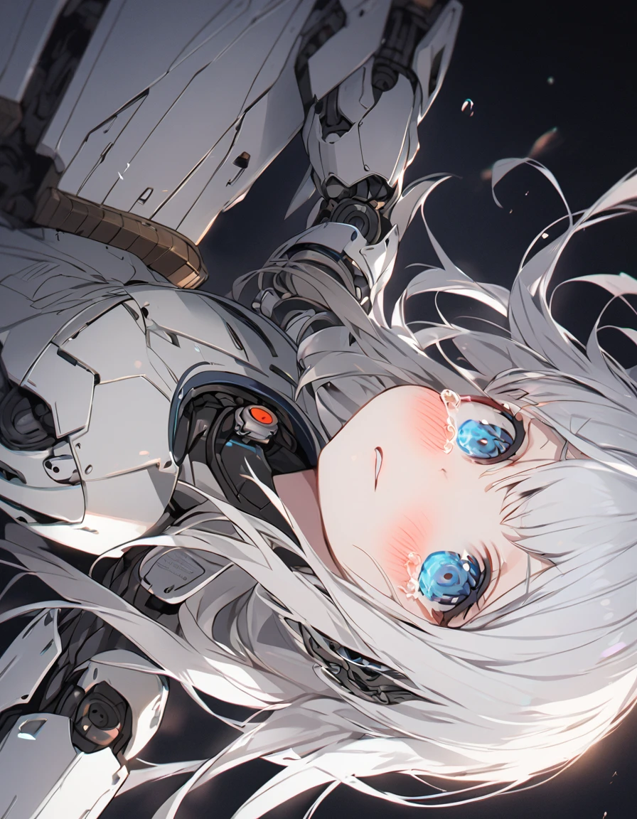 The white-haired girl cried sadly, Mechanical joints