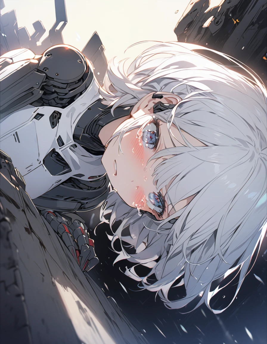 The white-haired girl cried sadly, Mechanical joints short hair