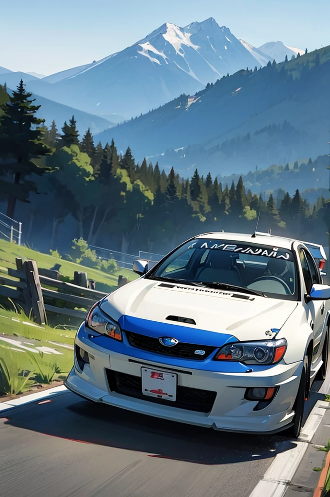 black haired boy with a rally subaru impreza sti with mountains in the background for wallpaper 