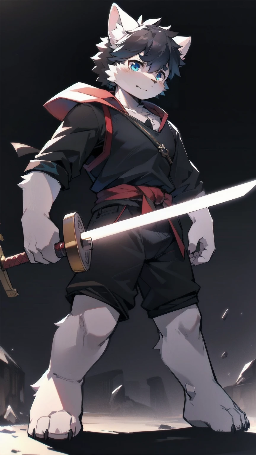 White Wolf，black hair，Sky blue eyes，hairy，Wolf ears，Wolf tail，Full body portrait，The character is in the center of the frame，Handsome，Confident eyes，male，juvenile，Black and white combat uniform，Red neck bib，Black shorts，Short sleeve，hairy arms and legs，Dark background，Dark battlefield，dawn，sunrise，dawn，illumination，shadow，Swordsman，Scabbard and sword，Hold the hilt of a sword in your hand，The scabbard is at the waist，Highest quality