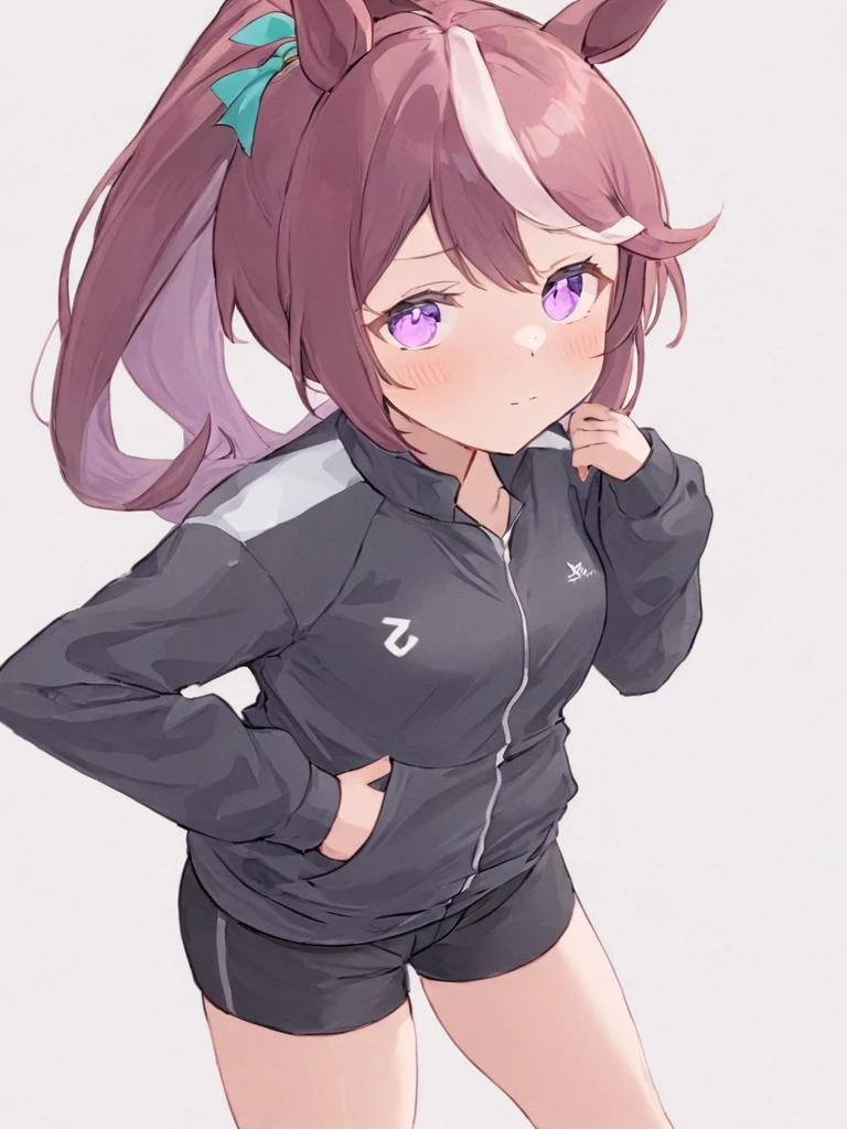 1girl, solo, mejiro_mcqueen_\(umamusume\), long_hair, animal_ears, jacket, horse_ears, purple_eyes, white_background, purple_hair, simple_background, black_jacket, looking_at_viewer, shorts, long_sleeves, bangs, horse_girl, track_jacket, hand_in_pocket, closed_mouth, blush, swept_bangs, aqua_ribbon, cowboy_shot, black_shorts, short_shorts, thighs, ear_ribbon, ribbon