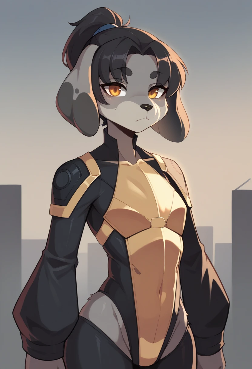 A portrait of a mature adult female, furry, ((two-toned light and dark grey body fur)), slender, flat chest, sharp and angled golden cat-like eyes, ((long floppy dachshund-like ears)), fluffy cheeks, dog-like nose, shoulder-length black hair with segmented bangs and ponytail, wearing skintight sci-fi armor, looking at the viewer, no expression, sunset in a futuristic city