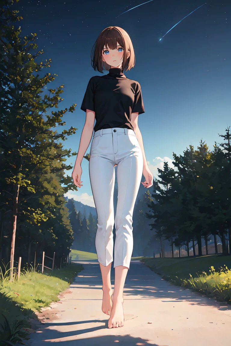1 Girl, Brown hair, Bob Cut, flat ?????, Black shirt, turtleneck sweater, Short sleeve, White pants, barefoot, permanent, outdoor, night, night sky, nature, masterpiece, best quality, Extremely detailed, illustration, 8K, high resolution
