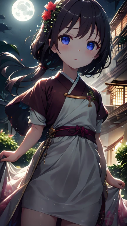 best quality, high_resolution, distinct_image, detailed background ,girl, hanbok,flower,garden,moon, night,dutch angle, wide shot, crown,  
