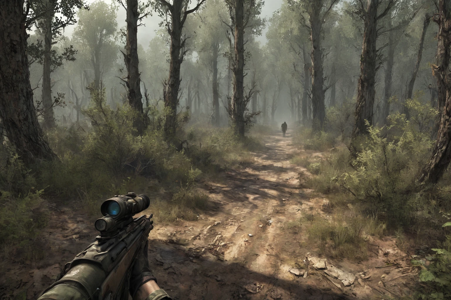 stalker game, anomaly in the dry forest