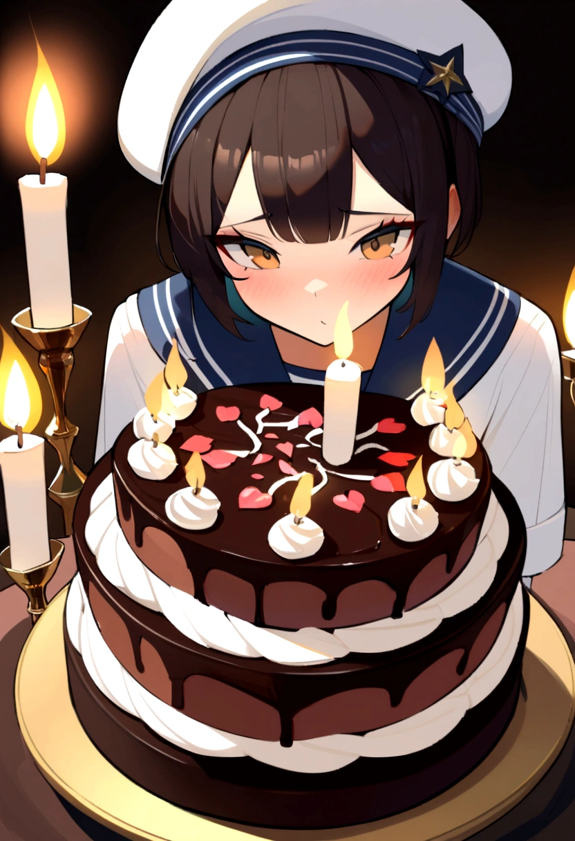A close-up photo of a beautifully decorated chocolate cake with a lit candle.,original,moderno, whisker, naughty man, wears a sailor hat,