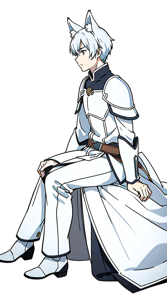 (1boy,15 years old),short hair,solo,white armor ,silver hair,fox ears,(white background,line drawing),sitting,from side, looking away,full body,serious